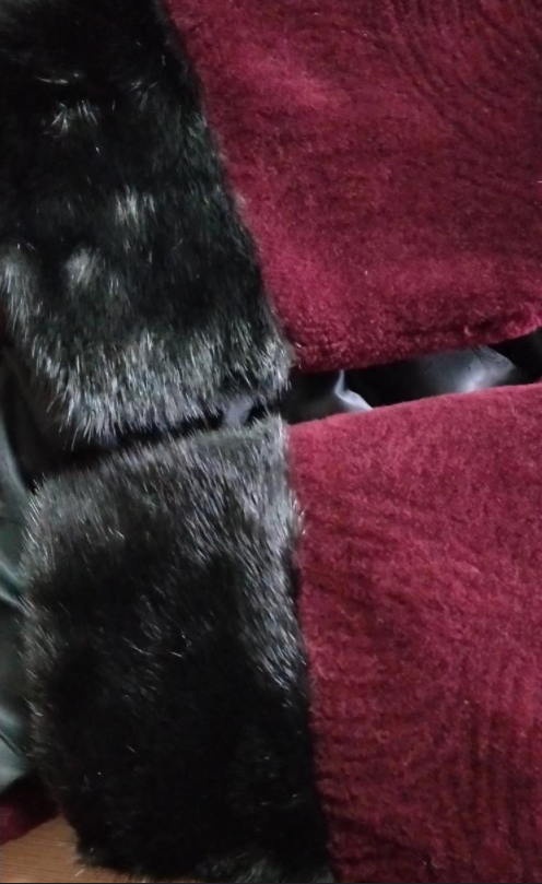 1646204884669628.png image.png