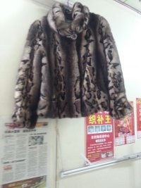 皮衣皮草